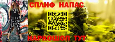 a pvp Кингисепп
