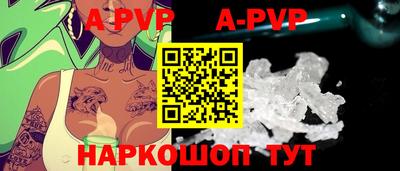 a pvp Кингисепп