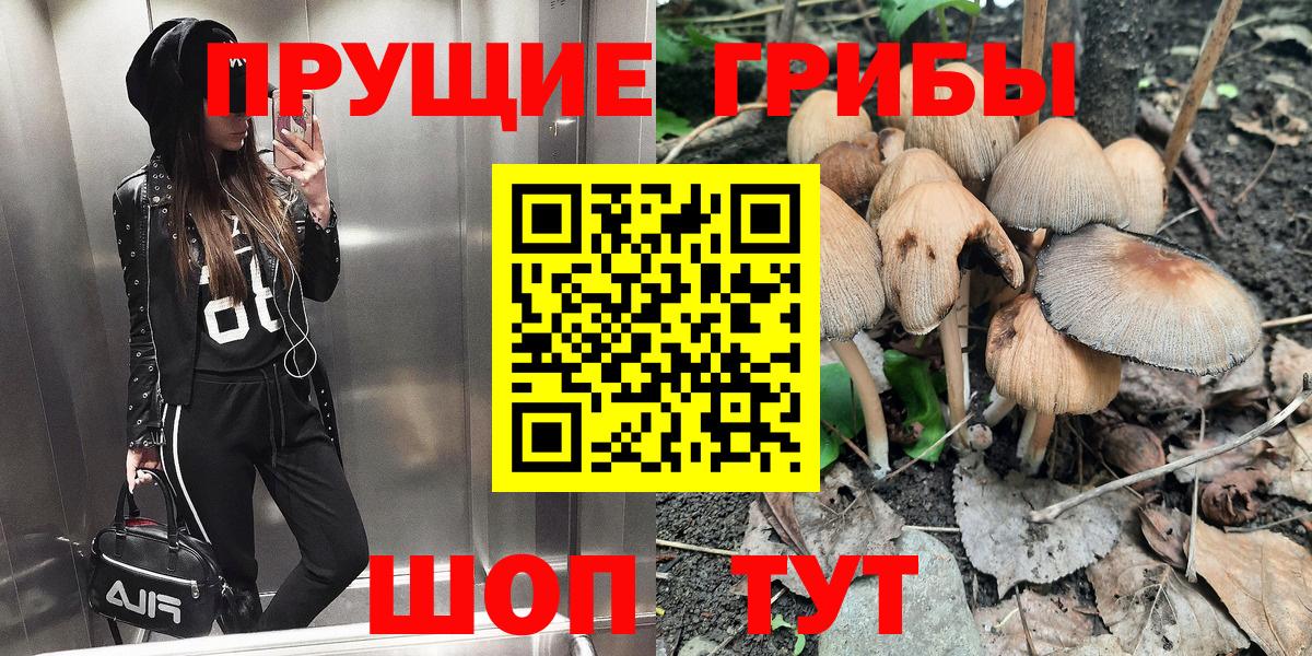 Галлюциногенные грибы Magic Shrooms  Вход с VPN  как найти закладки  Курчатов 